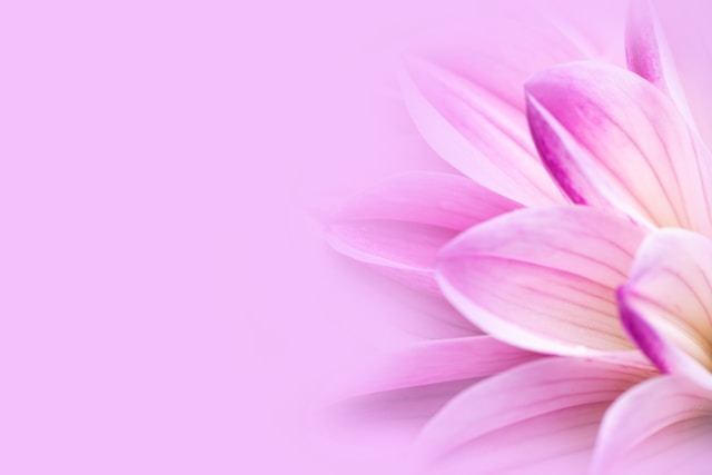 Morzonlexia közösség